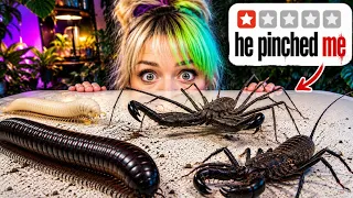 I Bought the Creepiest Pets on the Internet...(MEET MY NEW PETS!)