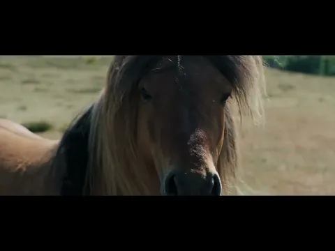 BELINDA | NFMLA July 13, 2024