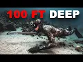 Spearing a 115 Pound Fish