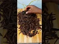 Download Lagu This is how Ugba, upaka, also know that oil beans seed is being processed after harvest
