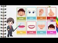 Learn Body Parts with flash card Educational