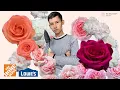 Heirloom roses unbox Eden Roses - A tour of my local Lowes and Home Depot for the spring garden
