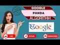 What is the Google Panda algorithm What does the Panda algorithm target