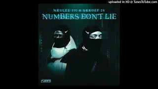 03 nkulee501 u0026 skroef28 sgidongo feat housexcape u0026 tribesoul 