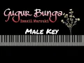 Lagu Gugur Bunga - Ismail Marzuki [Karaoke Piano - Male Key]