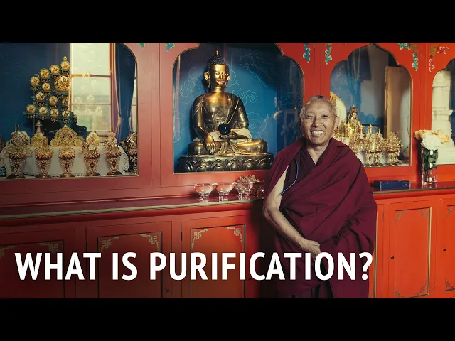What is Purification? | Geshe Tashi Tsering