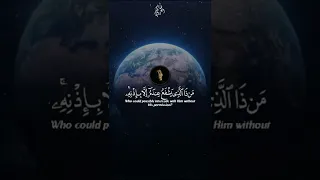 آية الكرسي هاني العزوني أرح قلبك 