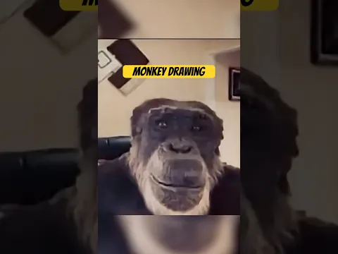 Monkey reacts to this drawing 🙊 #funny #monkey #drawing