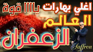 أغلى بهارات العالم الزعفران 