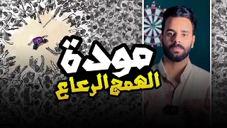 ليش ما تحجي ع السياسيين الفاسدين مودة الهمج الرعاع 