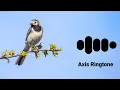 Download Lagu Kal Ho Na Ho - Flute Ringtone | Instrumental | Download Link 🔻| Axis Ringtones