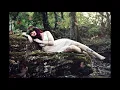 Dayle John Lunn - Broken Halos (Acoustic Chris Stapleton Cover)