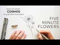 Five Minute Flowers How to Draw Cosmos Learn to draw flowers
