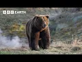 Inside the World of Bears BBC Earth