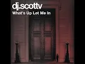 What's Up Let Me In | Melodic House \u0026 Dance | Live DJ Mix | dj.scottv