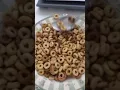 Multi-Grain Cheerios Review