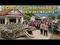 Download Lagu JAWA TIMUR VIRAL‼️ULAR RAKSASA INI SELALU MELINGKARI KANTOR DESA, TERNYATA....