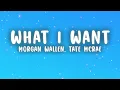Morgan Wallen, Tate McRae - What I Want (Lyrics)