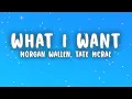 Download Lagu Morgan Wallen, Tate McRae - What I Want (Lyrics)