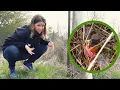 Find Your Survey Pins GPS Compass Metal Detector Which worked for us