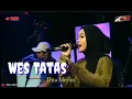 Wes Tatas - DITA MERLIN // KMB GEDRUK