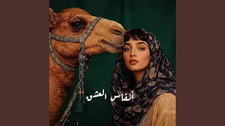 العدل فوق الجميع دندنها