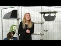 Freestyle Outdoor Cat Tree Walk Through - The Perfect Outdoor Cat Accessory Omlet Pet Products