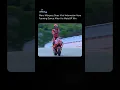 Download Lagu Marc Márquez doet een virale Indonesische Aura Farming-dans na zijn MotoGP-overwinning😍 #marcmarquez