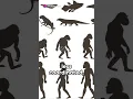 Evolution Simplified Survival of the Fittest