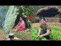 Lagu Growing Wild Vegetables Changed a Single Mother’s Life - Ly Tieu Mila
