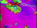 CamelPhat, Yannis, Foals - Hypercolour (Official Visualiser)