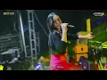 Download Lagu MERAH JAMBU || SEKAR DIRGANTARA AMELIA MUSIC || HAPPY PARTY MBELGEDES TEAM 2025