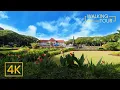 Download Lagu 4K Virtual Tour through Malang, East Java, Indonesia - City Walks
