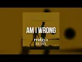 Nico \u0026 Vinz - Am I Wrong (Pridgyn Remix)