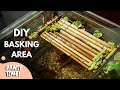 DIY Turtle Basking Platform Idea