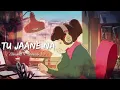Tu Jaane Na - (Lofi Remix) | Atif Aslam | Mashuq Haque | NH Emon Lofi