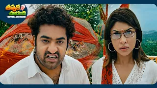 jr ntr and tamannaah telugu superhit movie scene oosaravelli movie thappakachudandi9