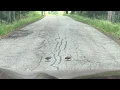Download Lagu Woodcocks dancing across the road