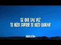Manuel Turizo - Una Lady Como Tú (Letra/Lyrics)