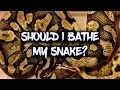 How often should I give my snake a bath