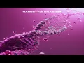 Download Lagu Refuzion Ft. POPR3B3L - Hardstyle DNA 2024
