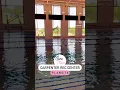 Check out Carpenter Recreation Center in Plano TX