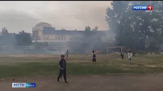Тополиный пух стал причиной серьёзного пожара на территории школы в Омске
