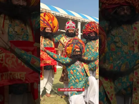 सबसे बड़ी और लोकप्रिय पगड़ी। राजस्थानी संस्कृति की पहचान विश्व 🌍 पटल पर #rajasthani #cultur #viral