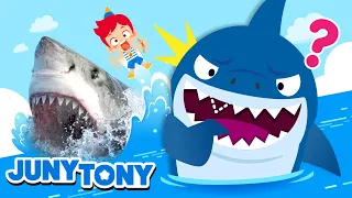 Download *NEW* Sharks, Assemble! | Fun Facts About Sharks | Animal Songs | Kids Songs \u0026 Stories | JunyTony MP3