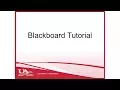UACCM Blackboard Tutorial