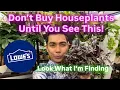 Don t Buy Houseplants Until You See This Lowe s Plant Shopping 2026 New Plants Outdoor and Indoor