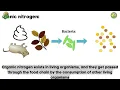 Nitrogen Cycle Aquarium Nitrogen Cycle Nitrification