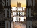 Download Lagu SHOLAWAT THIBBIL QULUB MERDU 💖 DZIKIR PENAWAR HATI, PENENANG PIKIRAN \u0026 PENYEMBUH   #sholawat