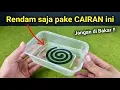 Download Lagu TANPA ASAP !! Rumah BEBAS NYAMUK selamanya